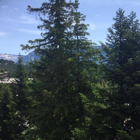 Logement Avec Terrasse, Superbe Vue Et Parking Chamrousse Exterior photo